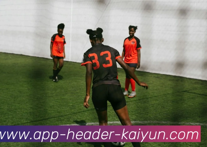 开云APP平台生态图